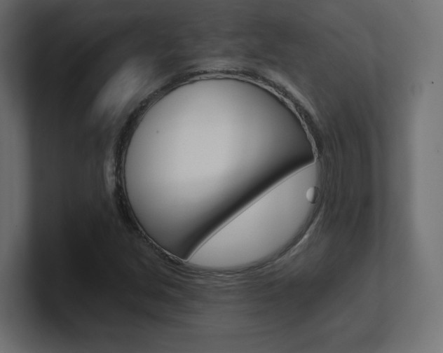 X0000101091213200806261055