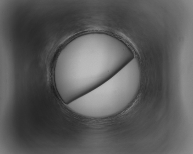X0000101091215200806261055