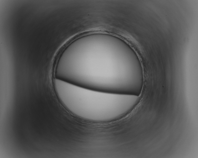 X0000101091216200806261055