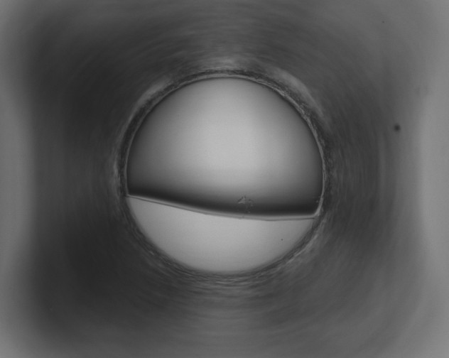 X0000101091218200806261055