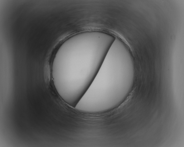 X0000101091219200806261055