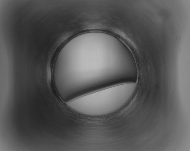 X0000101091221200806261055