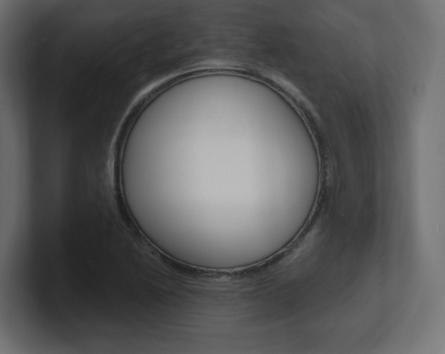 X0000101091222200806261055