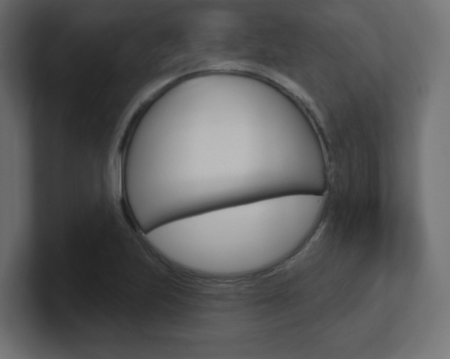 X0000101091223200806261055
