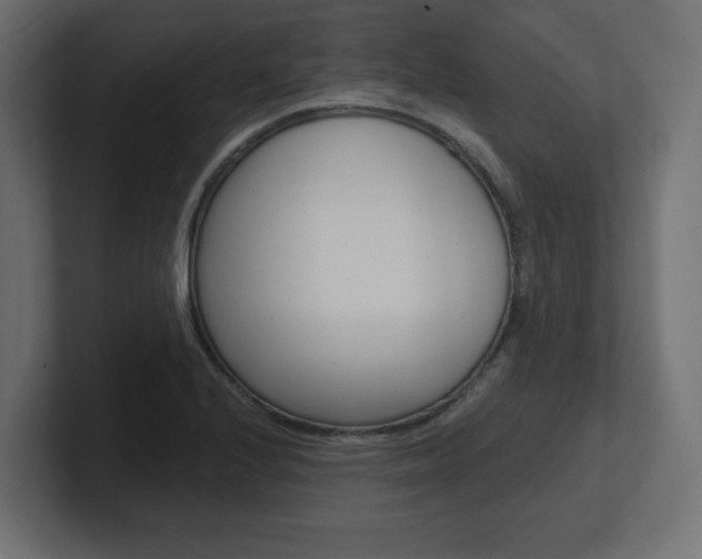 X0000101091224200806261055