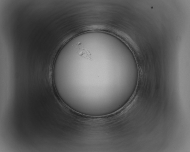 X0000101091225200806261055