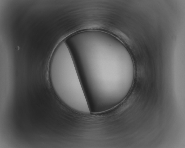 X0000101091226200806261055