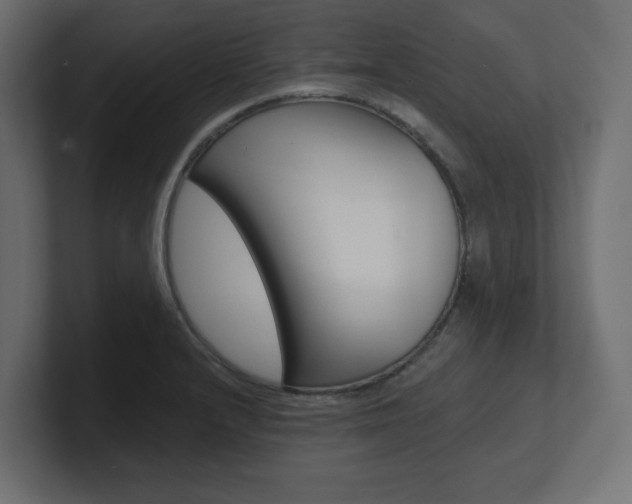 X0000101091232200806261055
