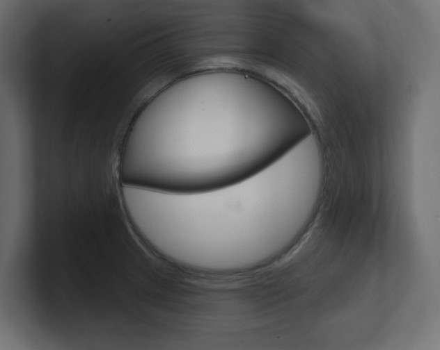 X0000101091233200806261055