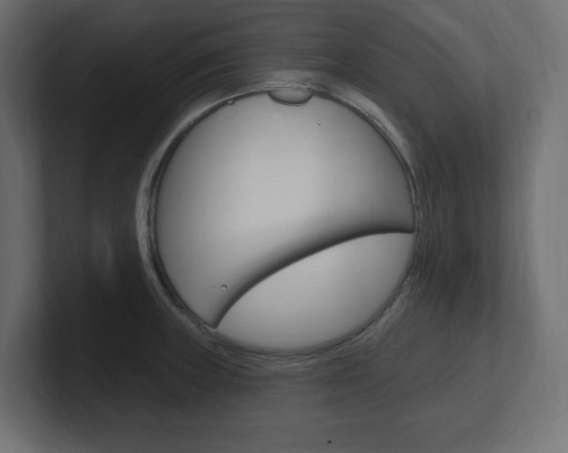 X0000101091235200806261055