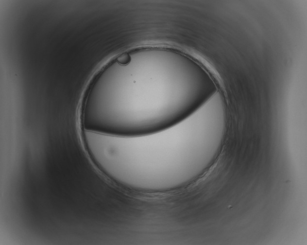 X0000101091237200806261055
