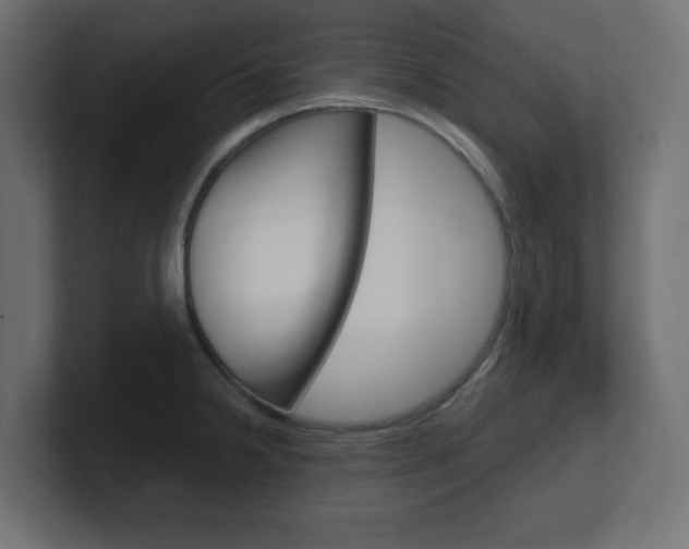 X0000101091238200806261055