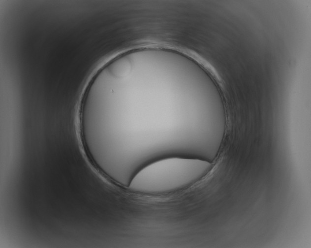 X0000101091239200806261055