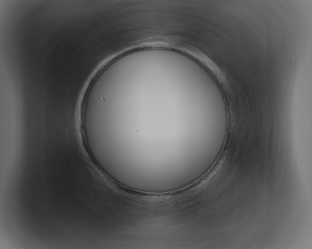 X0000101091240200806261055