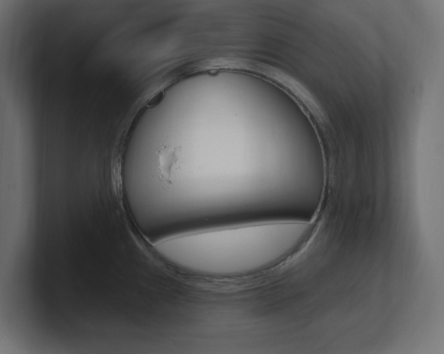 X0000101091241200806261055