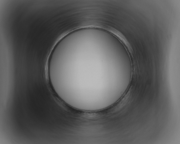 X0000101091242200806261055