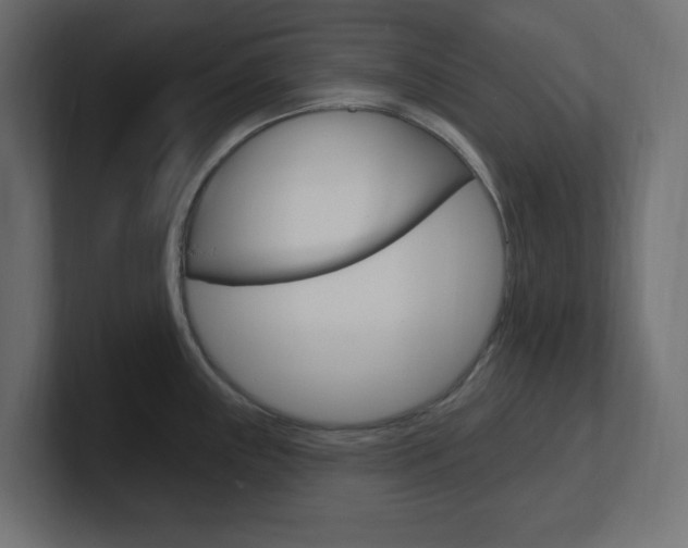 X0000101091243200806261055