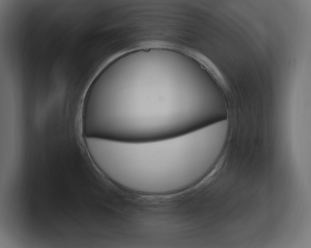 X0000101091244200806261055
