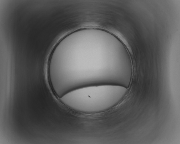 X0000101091245200806261055