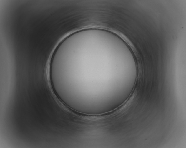X0000101091246200806261055
