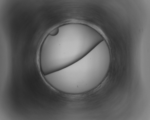 X0000101091247200806261055