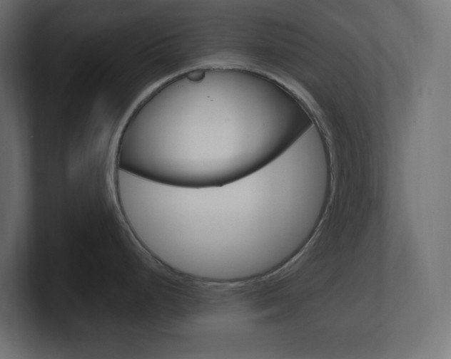 X0000101091248200806261055