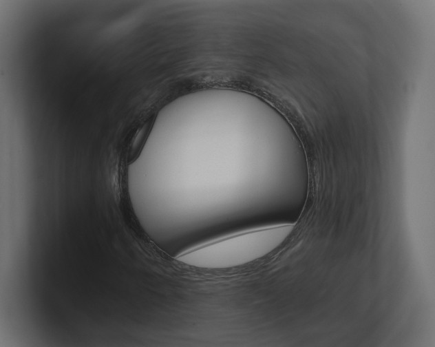 X0000101091250200806261055