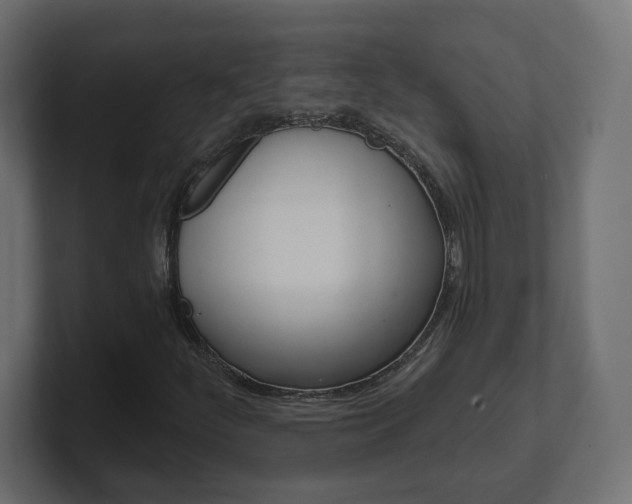 X0000101091252200806261055