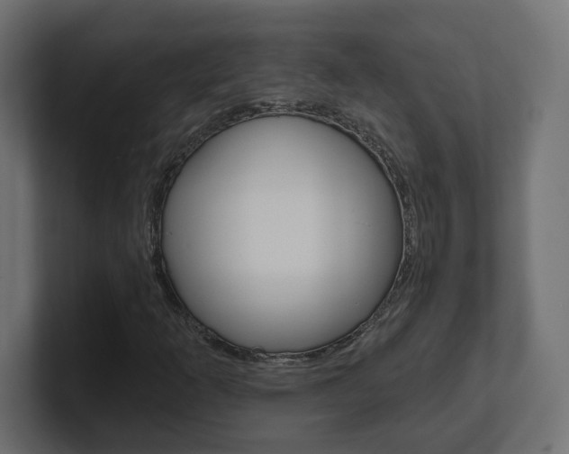X0000101091253200806261055