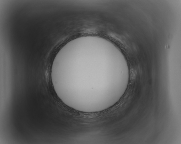 X0000101091254200806261055