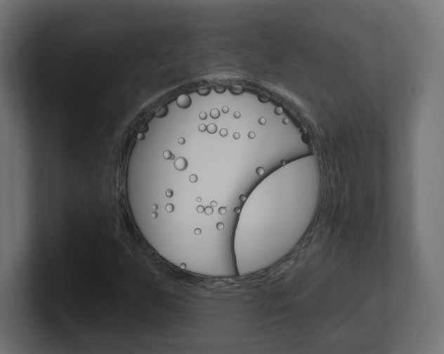 X0000101091255200806261055