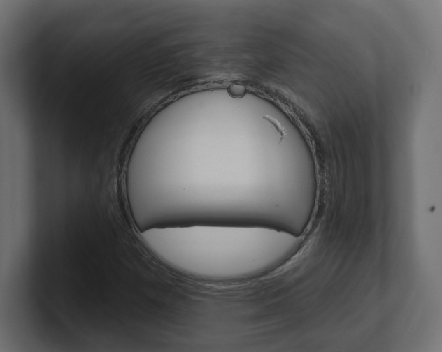X0000101091257200806261055