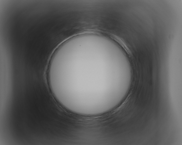X0000101091260200806261055