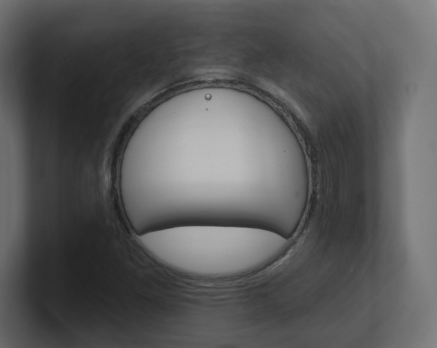 X0000101091261200806261055