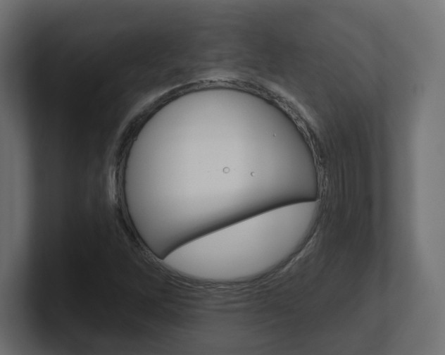 X0000101091262200806261055