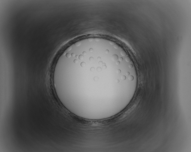 X0000101091263200806261055