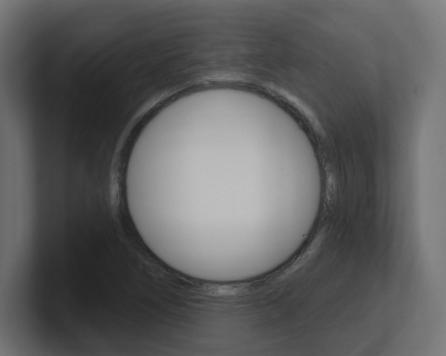 X0000101091266200806261055