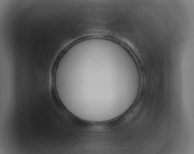 X0000101091267200806261055