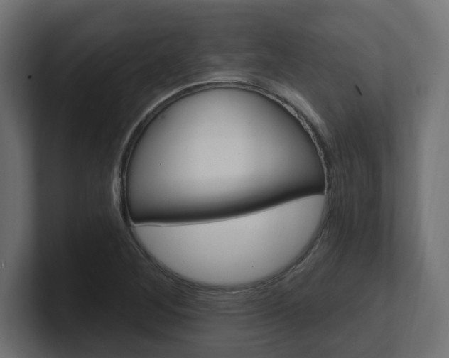X0000101091268200806261055