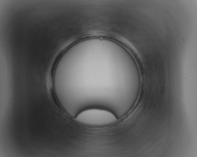 X0000101091269200806261055