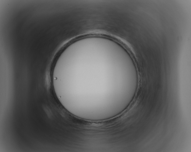 X0000101091271200806261055
