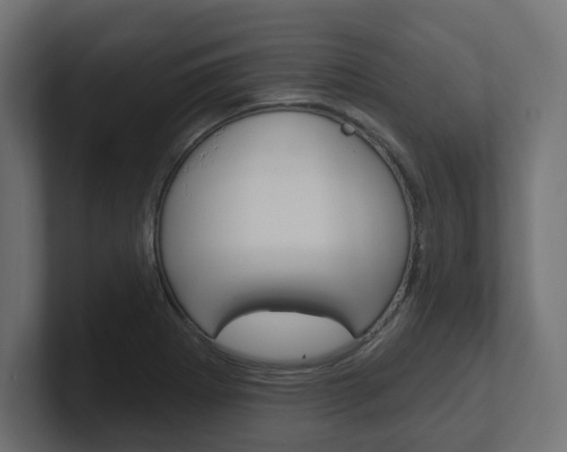 X0000101091273200806261055