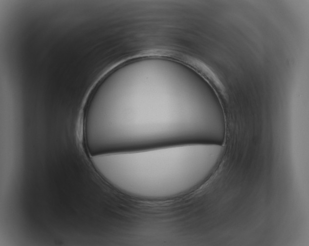 X0000101091276200806261054