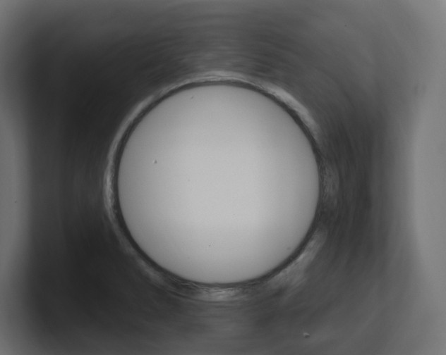 X0000101091278200806261054