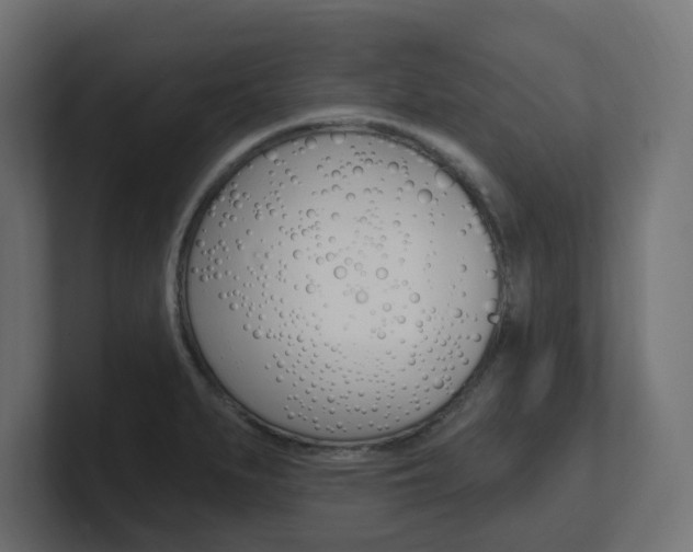 X0000101091279200806261054