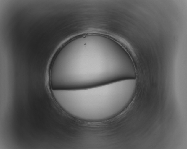 X0000101091280200806261054