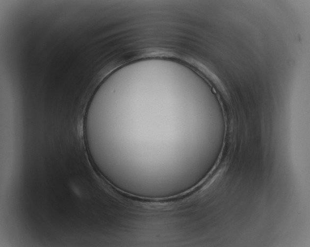 X0000101091281200806261054