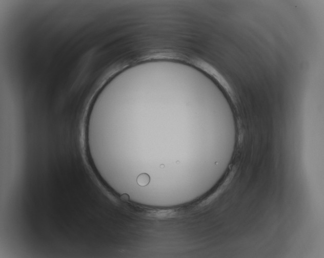 X0000101091282200806261054