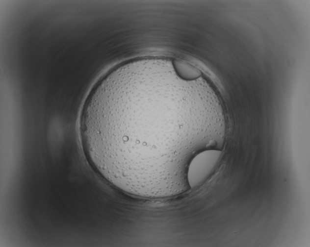 X0000101091283200806261054