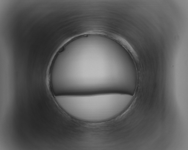 X0000101091284200806261054